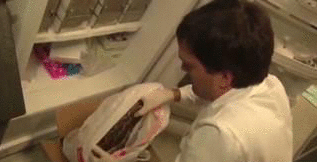 sixpenceee:  A mysterious snake disease causes pythons to tie themselves in a knot