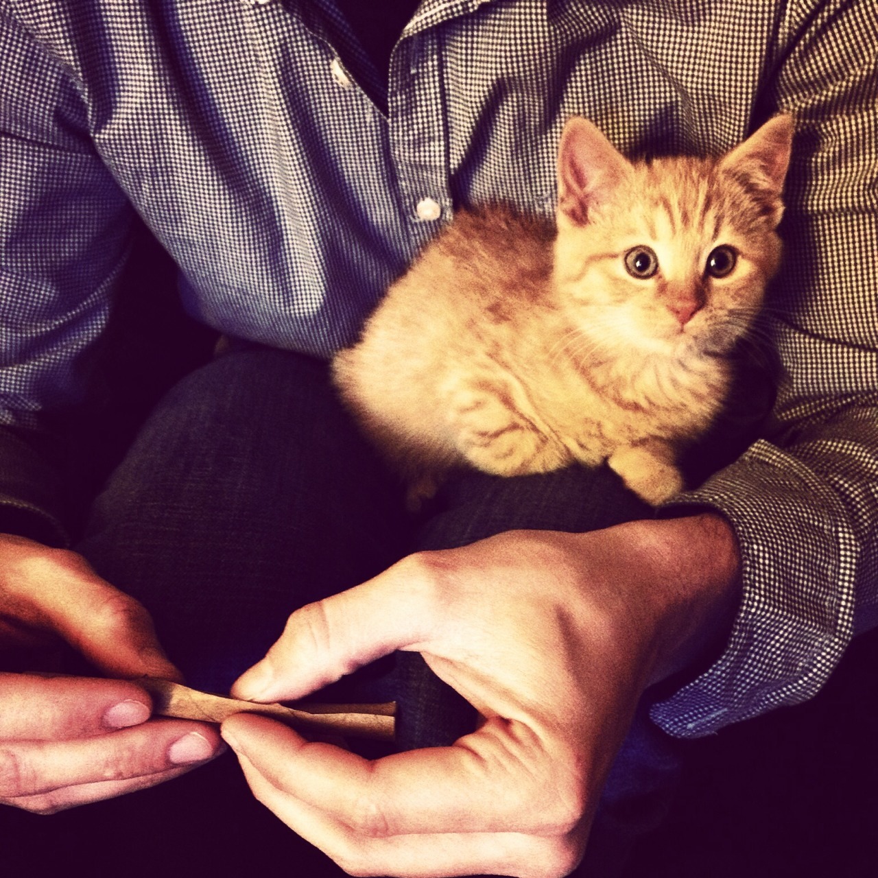 seebrightskyes:  untamedspiritx:  Teaching her the art.  Ah!
