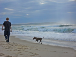 nelsoncarpenter:  menandtheirdogs:  (Submitted by t-wren)  Davey &amp; Dexter in Oz 