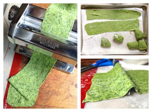 foodffs:  BUTTERNUT SQUASH HARVEST LASAGNA Really nice recipes. Every hour.
