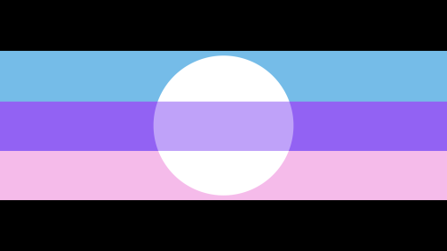 the-gender-collector-emself: The rest of my new flags! From left to right:Noxavire: Anyone who is ma