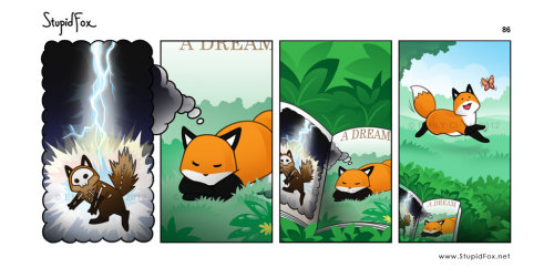 sinclair-atomos:  gokhanonat:  Stupid Fox …   CUTE! where is the link to these?