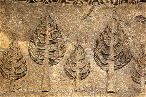ancient-mesopotamia:Interior wall, Palace of King Sennacherib, Nineveh, Northern Iraq, Assyrian.