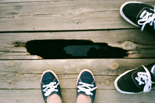 foresity:  (by vinchyk) 