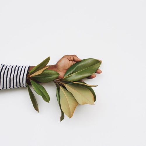 estherbaseme:here to grow.