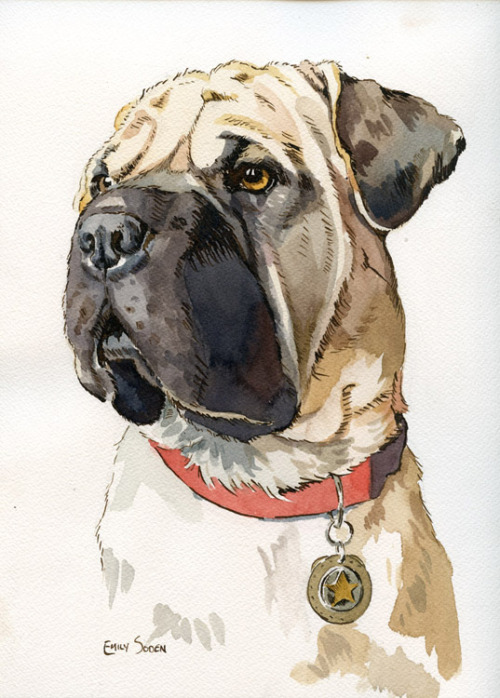 "Washburn" Watercolour And Ink On Paper.