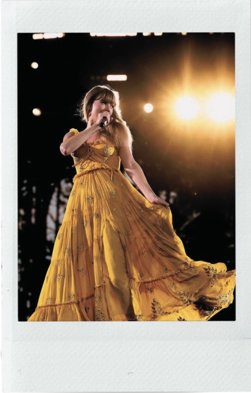 Eras Tour Polaroid Set: Evermore