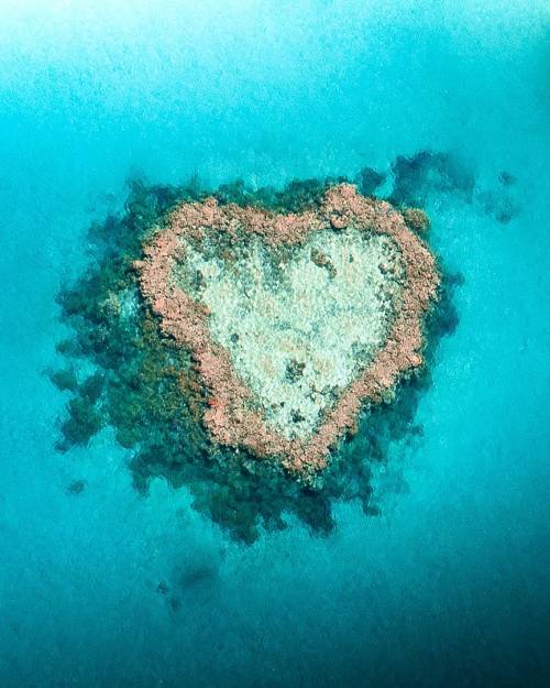 Heart Shaped