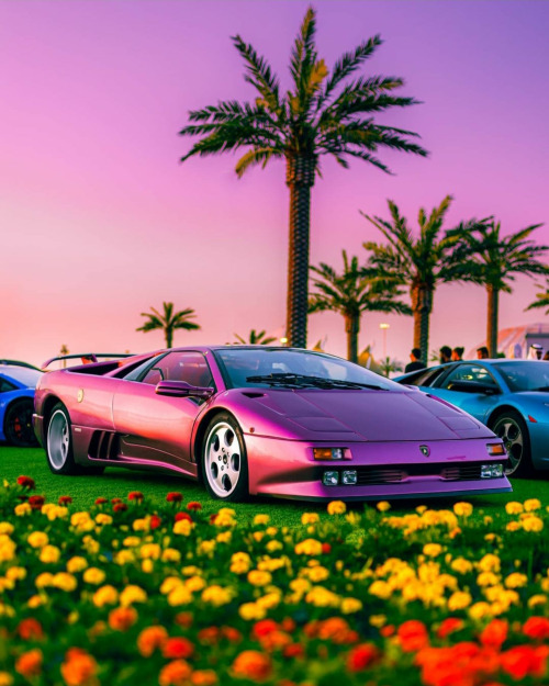 The Sleeping Beauty, Diablo In Viola SE30