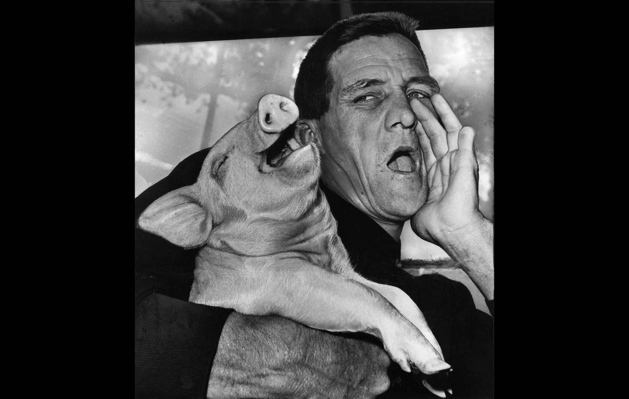 Sept. 29, 1965: Elroy Murphy, 42, of Boliver, Mo., demonstrates the technique that won him the title of 1965 Grand Champion Hog Caller at the Los Angeles County Fair in Pomona. Murphy beat 20 others for first prize, a 15-pound ham. This photo was...