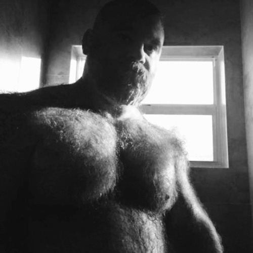 abeautifulindiscretion:  Scruffy