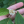 fairiegardens:https://instagram.com/goodcakeatx?igshid=e09vnqqvd2hf