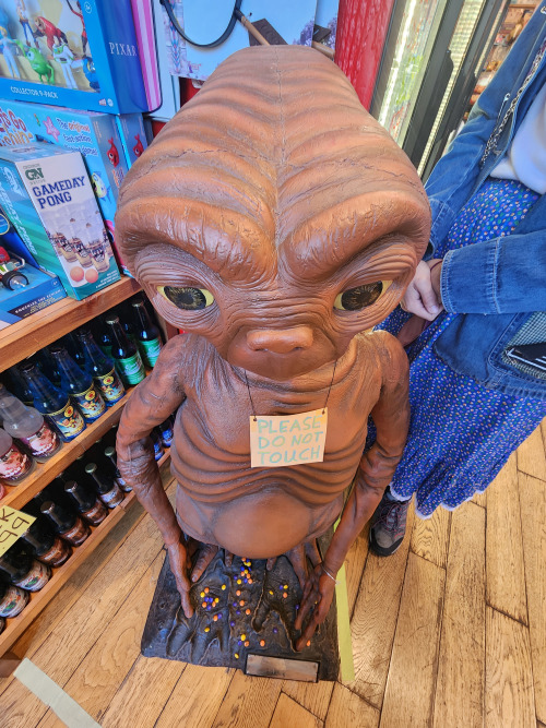 Rocket Fizz, Alameda, CA