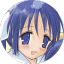 usadasakura