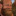 beardedbearbud2: