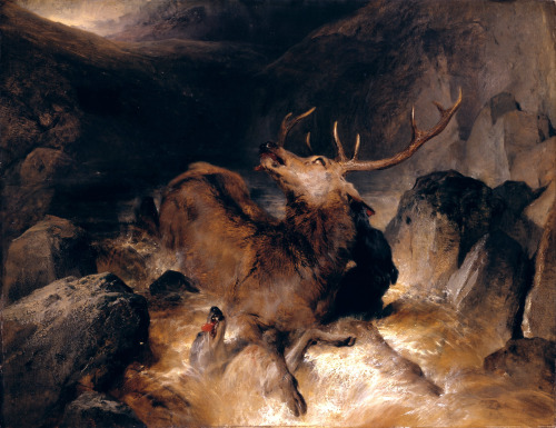 Deer and Deer Hounds in a Mountain Torrent, Sir Edwin Henry Landseer, 1832