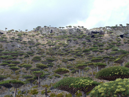 Porn Pics astrofyre:  crossconnectmag:  Isolated Island