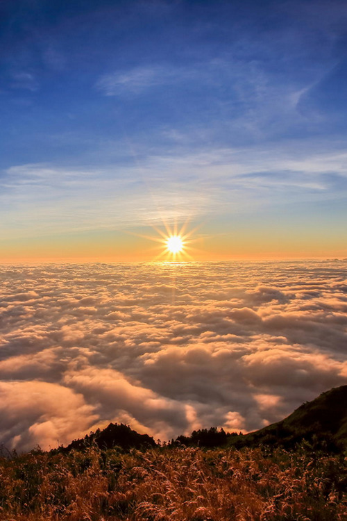plasmatics-life:  Sky - By Claire Liu 