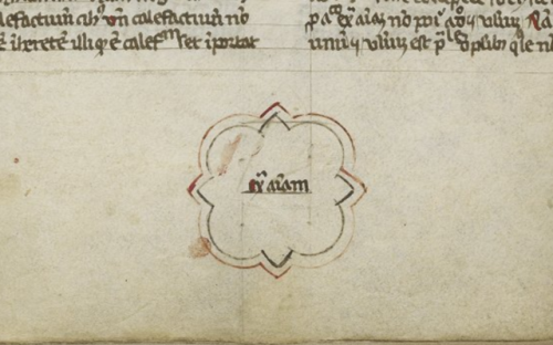 This week, we’ll be looking at a series of decorated catchwords in manuscripts. A catchword is a wor