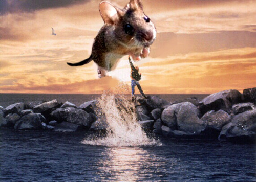 509cub:  tastefullyoffensive:  Mouse Leaping Over Grass Photoshop Battle [via]Previously: Flyboarding Leonardo DiCaprio PS Battle    Star Wars for the win