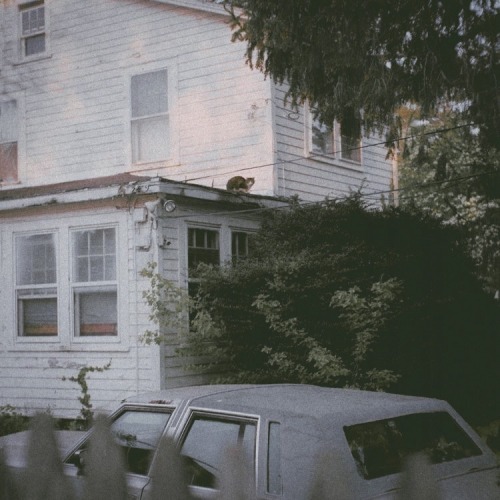 Dating Darry Curtis HC’s ˚୨୧⋆｡˚ ⋆
