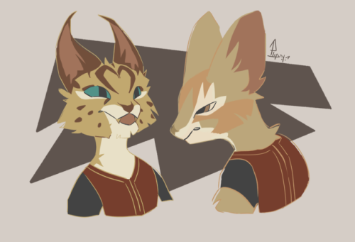 I’m Going To Miss My Current Palico, But Those Fennec Ears Are Too Cute.