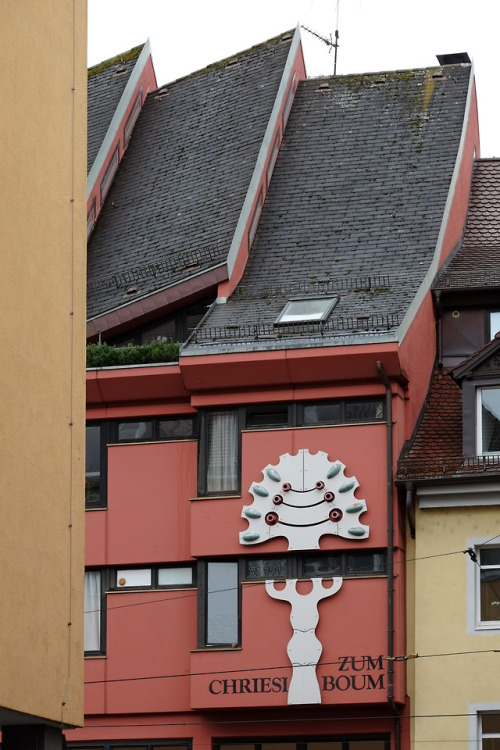 scavengedluxury:Freiburg, March 2019. 