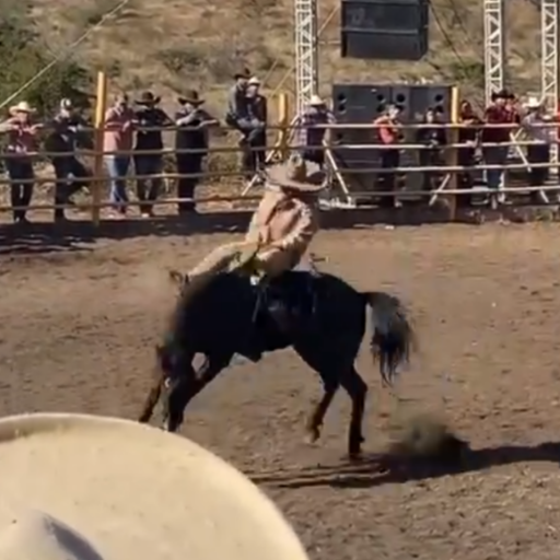 A las mujeres bonitas y a los buenos caballos,los echan a perder los pendejos!