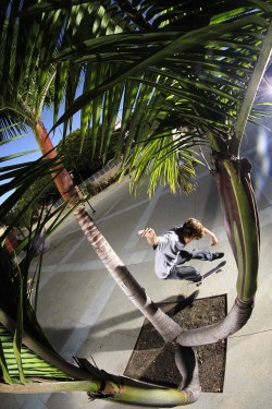 filmus:  Sebo Walker. Switch stance Kick