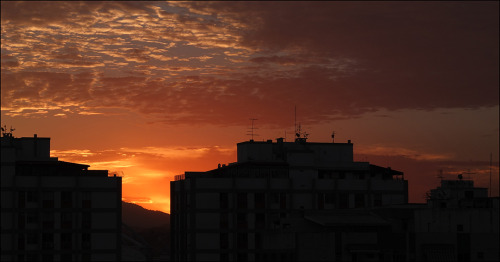 psmoreira - Fotografianaveia