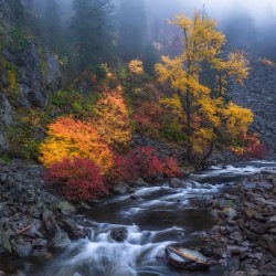 landture:  Autumn Fog by JeremyDuncan 