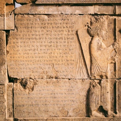 thoughtsforbees:snippets of Persepolis