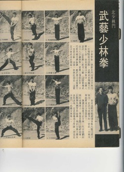 sifu-kisu:This is Northern Shaolin’s form