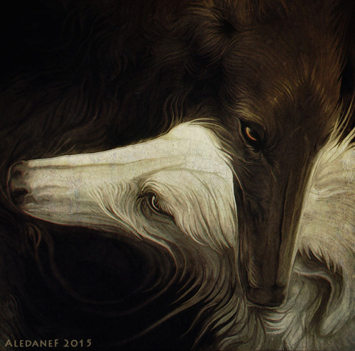 aledanef: veide e teime by AledaneF
