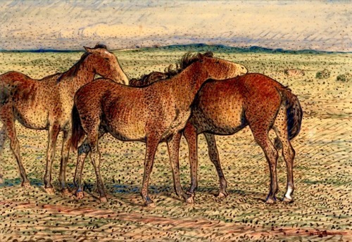 art-nimals - Nils Kreuger, Three Horses, oil on paper, 68,5 x 98,5...