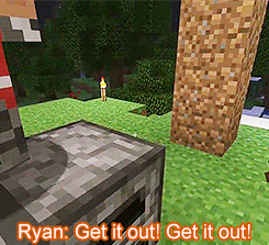 :  quest for horses 