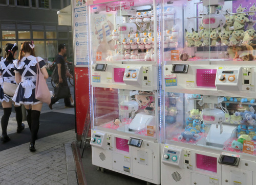 ninetail-fox:Otaku town ,Akihabara