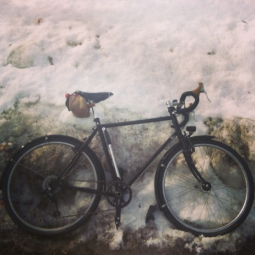 diamondwizard: Current snow status: quickly receding.