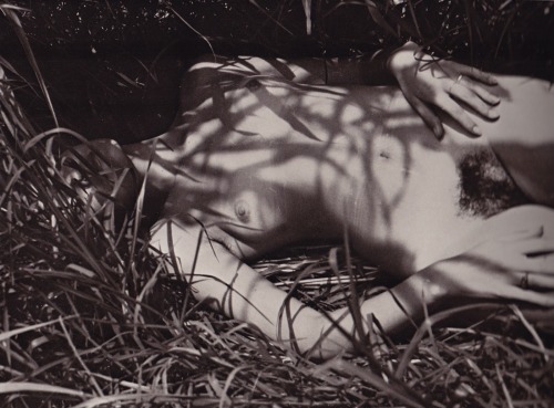 hapticperceptions: Desnudo en el Pasto by Manuel Alvarez Bravo, 1978-79 Via foxes in breeches