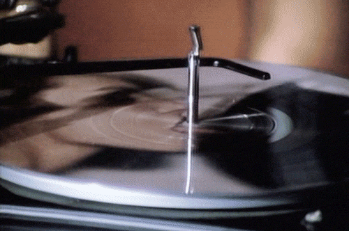 vinyland