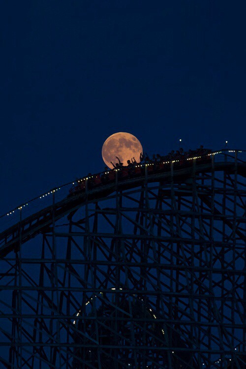 Happy and Free on Tumblr: Image tagged with roller coaster, yolo, summer