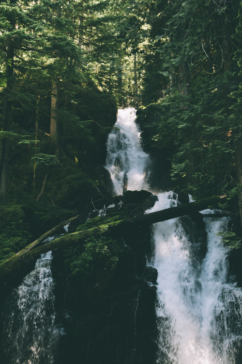 hannahkemp:Waterfall//Washington June 2017Prints//Instagram