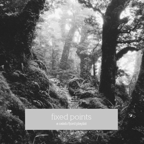 fixed points | a caleb/fjord playlist  ♠ listen