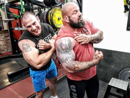 musclemechanic:  ID???
