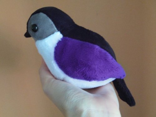 sosuperawesome: Pride Bird Plushies Yinza on Etsy See our #Etsy or #Plush tags