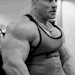 musclecorps: