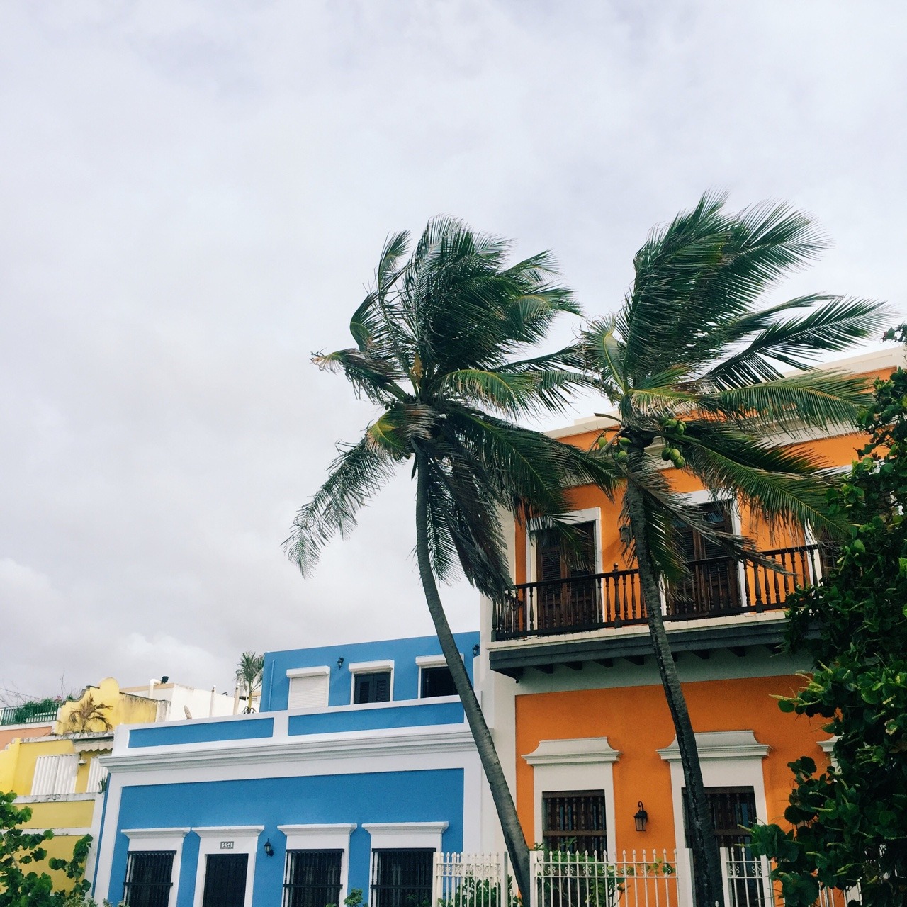 chinolajuice:  viejo san juan 