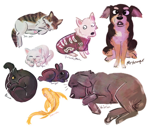 pets of ppl who were in tonight&rsquo;s art streammm