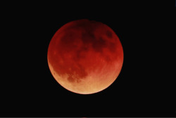 wierdogal:My last photo of the night. Hope everyone got to see the Super Blue Blood Moon!  Meet me in that wonderful dream……