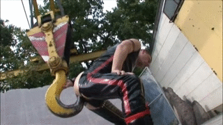 thecubthatdanced